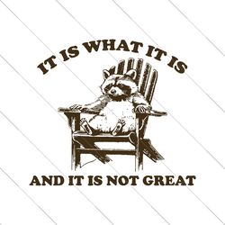 It Is What It Is And It Is Not Great Funny Raccoon SVG File Digital