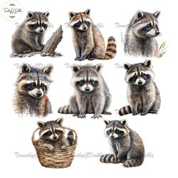 Raccoon Clipart | Watercolor Woodland Animals Clipart | Baby Animals | Cute Raccoon PNG | Junk Journal | Digital Planner
