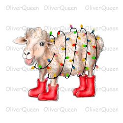 Sheep Christmas Light, Animal Christmas png, Merry Christmas png