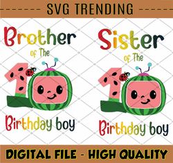Cocomelon Brother and Sister Of Birthday Boy svg, Coco Melon svg, Cocomelon Bundle svg, Cocomelon Birthday svg, Watermel