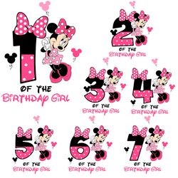 Disney Happy Birthday Girl Svg Png, Pink Mickey Of The Birthday Svg, Disney Family Vacation 2024 Svg Magical Kingdom Svg