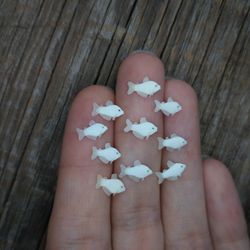 Set of miniature white Tetra fish 10 pcs, tiny fish for diorama, resin art or dollhouse aquarium