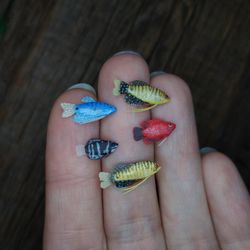 Miniature Gourami fish 5 pcs, tiny fish for diorama, resin art or dollhouse aquarium