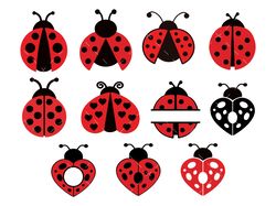 Ladybug SVG, PNG, PDF, Ladybug Bundle svg, Ladybug svg Layered