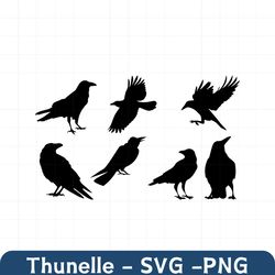 Crow Svg, Birds Svg, SVG Files for Cricut, Raven SVG, Crow Clipart, Bird Clipart, Bird Watcher Clipart, Crow PNG, Crow S