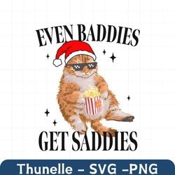 Baddies Get Daddies Cat Meme PNG