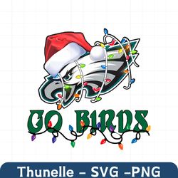 Eagles Go Birds Christmas Lights PNG