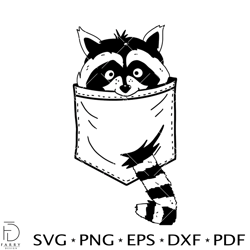 Pocket Raccoon Svg, Curious Svg, Cute Raccoon Svg