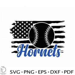 Charlotte Hornets Baseball SVG American Flag Sport Cutting Digital File