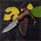 custom handmade Damascus steel bobcat hunting knife rosewood handle gift for him groomsmen gift wedding anniversary