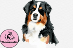 Bernese Mountain Dog Watercolor Clipart Design 100