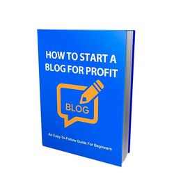 How To Start a Blog For Profit