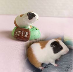 guinea pig portrait 3 cm long tiny statue or necklace on your choice