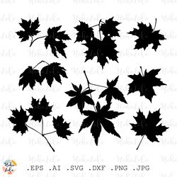 Maple Leaves Svg, Maple Leaves Silhouette, Maple Leaves Cricut Svg, Maple Leaves Stencil Templates Dxf, Clipart Png