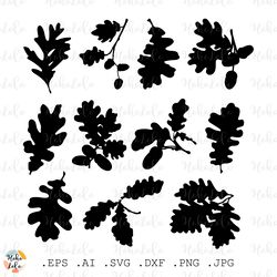 Oak Leaves Svg, Acorns Svg, Oak Silhouette, Cricut file, Oak Leaves Stencil Templates Dxf, Acorns Clipart Png
