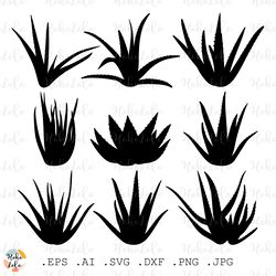 Aloe Vera Svg, Aloe Vera Silhouette, Aloe Vera Cricut, Aloe Vera Stencil Templates Dxf, Aloe Vera Clipart Png