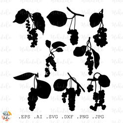 Chinese Lemongrass Svg, Chinese Lemongrass Silhouette, Chinese Lemongrass Cricut, Stencil Templates Dxf, Clipart Png