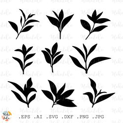 Tea Tree Svg, Tea Tree Silhouette, Tea Tree Cricut, Tea Tree Stencil Templates, Tea Tree Clipart Png, Tea Tree Leaves