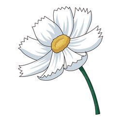 A cosmos flower with yellow stamens and white petals | SVG PNG EPS clipart one plant illustration design hand drawing