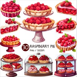 Raspberry Pie PNG | Fruit Dessert Clipart Sweet Bakery Bread Heart Pastry Piece Cake Tray Cute Food Illustration Recipe
