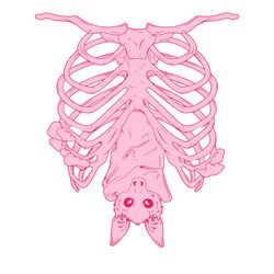 Pink Ribs Bat Halloween Skeleton Svg, Bat Skeletons Halloween Svg, Ribs Skeletons Halloween Svg, Dancing Halloween Svg