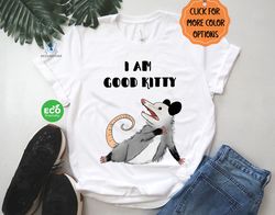 Funny I Am a Good Kitty Tshirt, Possum Shirt, Animal Tee, Gift for Opossum Lover, Trendy Clothing, Gift for Her, Raccoon