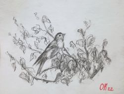 Handmade Birds Paintings - Little Bird illustration  paintings for child's room