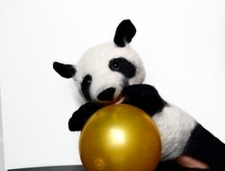 Hand puppet Panda for the puppet theater.