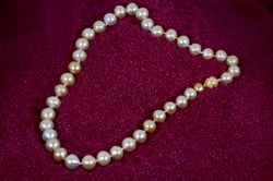 Round Cultured Gold Yellow Pearl Necklace