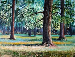 Oak Tree Oil Painting Forest Original Art Aspen Trees Artwork Landscape