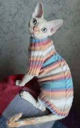 cat clothes,sphynx clothes,sphynx sweater,cat sweater