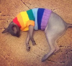 cat clothes,sphynx clothes,cat sweater,sphynx sweater