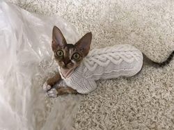 cat clothes,sphynx clothes,cat sweater,sphynx sweater