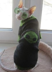 Cat clothes, cat sweater, sphynx sweater, sphynx clothes