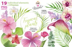 Watercolor clipart tropical plants, Tropics Flowers PNG