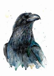 Raven original painting crow watercolor art hand painted bird artwork 12 x 8 " from ArtRinka