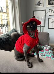 cat clothes, cat sweater, sphynx clothes, sphynx sweater