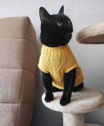 Cat sweater cat jumper knit cat clothing cat outfit Sphynx cat sweater Warm clothes for sphinx Knitted jumper for cat