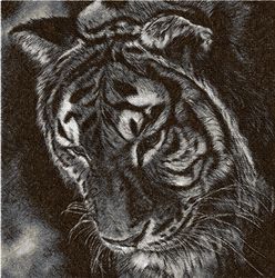 Tiger monochrome photo stitch  Embroidery Design   DIGITAL EMBROIDERY