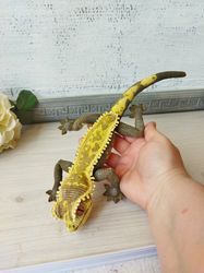 Crested gecko. Tree lizard. Realistic soft figure of a ciliated gecko. Crocheted reptile. Interior stuffed toy lizard.