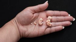 Set of 4 pcs, 1st trimester of pregnancy, figurines of intrauterine embryos,