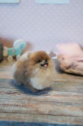 Pomeranian miniature figure