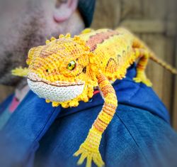 Realistic orange bearded dragon agama. Figurine amigurumi lizard. Abayomi crochet agama. Toy animal reptile shelf decor