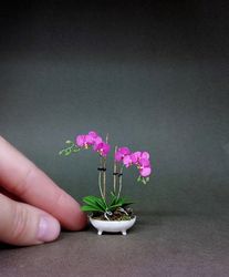 Orchid miniature Dollhouse 1:12, Dollhouse Orchid in a Pot, Miniature Fuchsia Orchid in a white pot,Orchid 1:12 in a pot