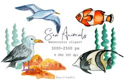 Watercolor clipart Sea Animals.Sublimation products.Card Seagulls and fish Sublimation Watercolor File.