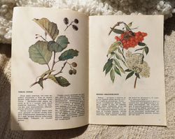 Vintage botanical handbook, medicinal plants guide, healing herbs book, flower prints, 1991