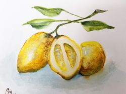 Original Watercolor Lemon Painting Fruit Artwork Kitchen Art Food Painting