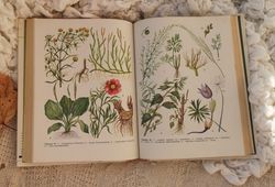 Botanical guide, vintage medicinal plants book, healing herbs prints, 1987