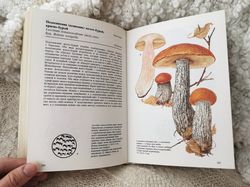 Mushrooms handbook, vintage botanical reference guide, mushrooms color illustrations book, 1984