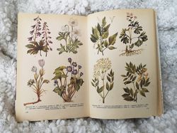 Vintage botanical guide, animal illustrations, bird prints, plant drawings, 1987
